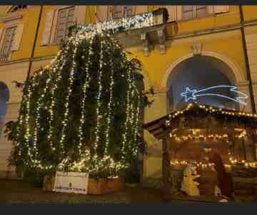 Il nostro albero !